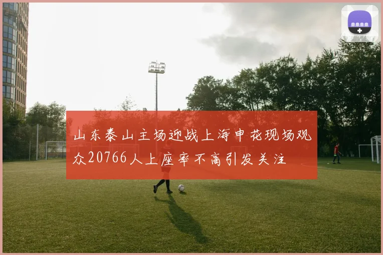 山东泰山主场迎战上海申花现场观众20766人上座率不高引发关注