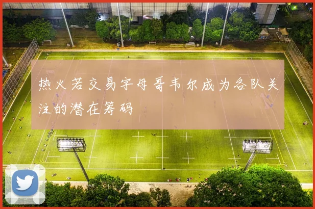 热火若交易字母哥韦尔成为各队关注的潜在筹码